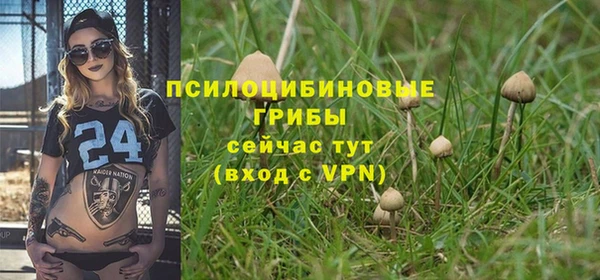 PSILOCYBIN Балахна