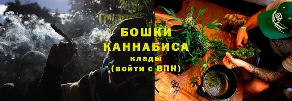 PSILOCYBIN Балахна